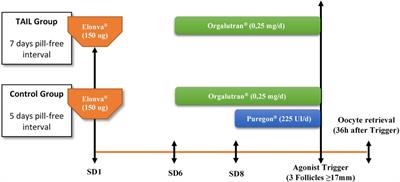 Conventional ovarian stimulation vs. delayed single dose corifollitropin alfa ovarian stimulation in oocyte donors: a prospective randomized study. Tail trial